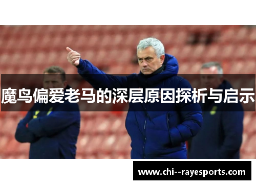 魔鸟偏爱老马的深层原因探析与启示